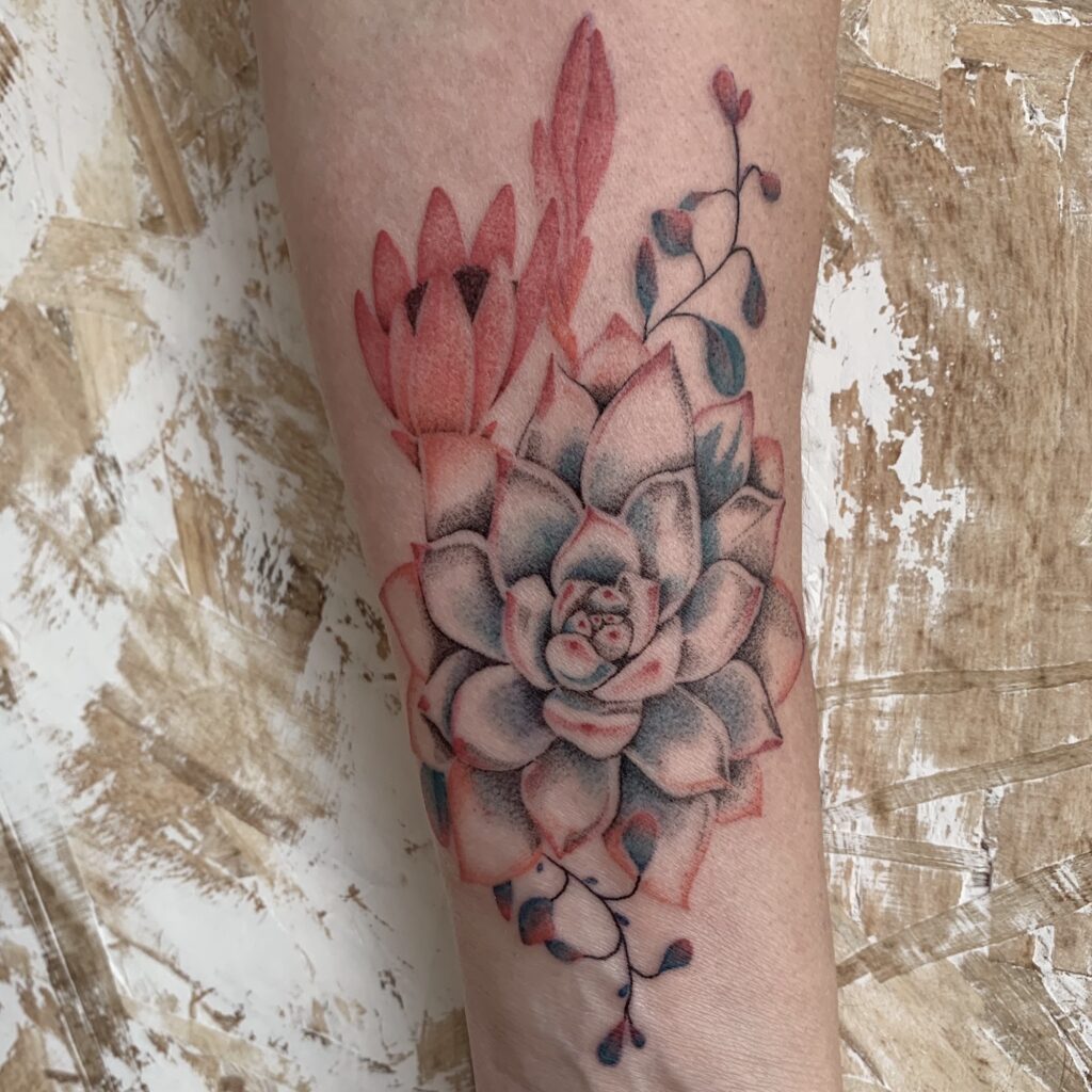 succulents colored tattoo
