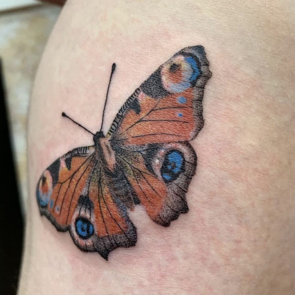 colored realistic butterfly tattoo